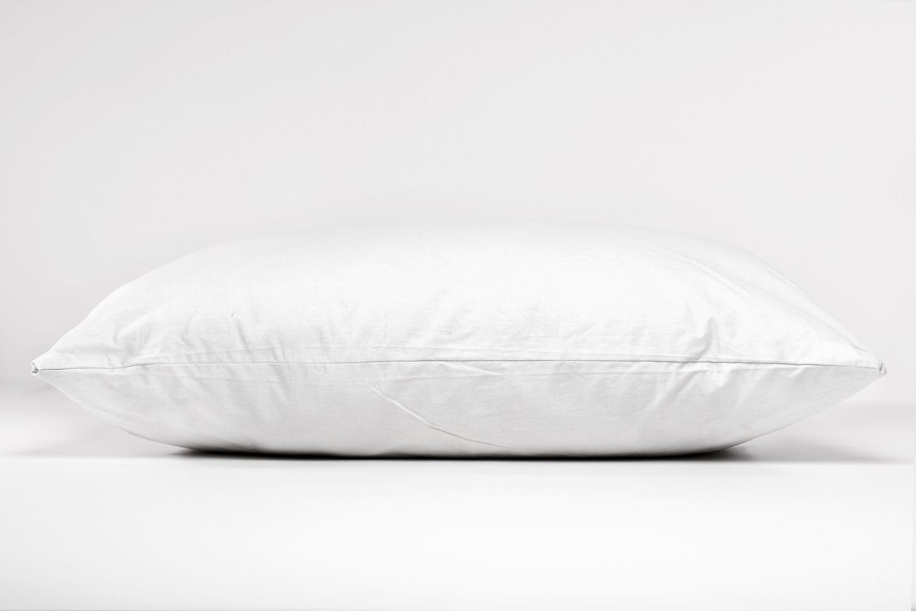 Organic Cotton Pillow - Standard (Made in Canada)